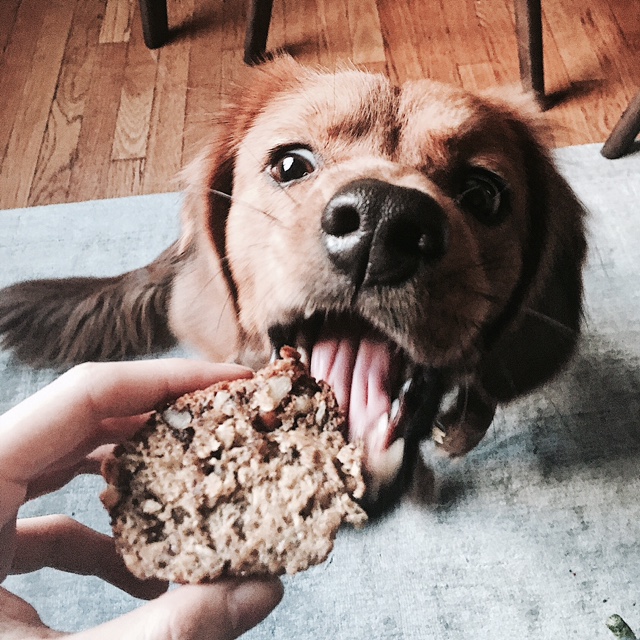 Processed with VSCO with a6 preset